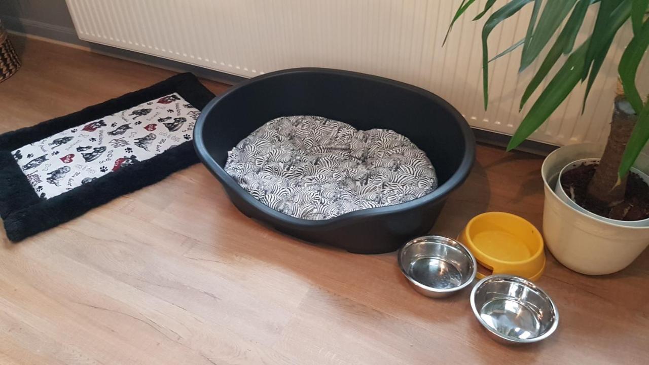 Nature, Charme, Confort, Avec Netflix Et Ps4 Lutzelbourg Zewnętrze zdjęcie